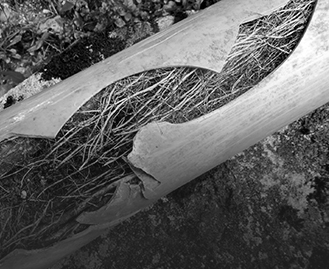 Blocked Drains Northcote